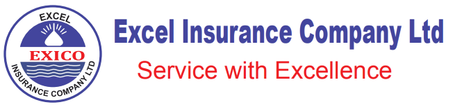 Excel Insurance Company Limited
